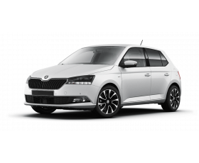 Chiptuning Skoda Fabia 1.0 TSI 110 pk 2021